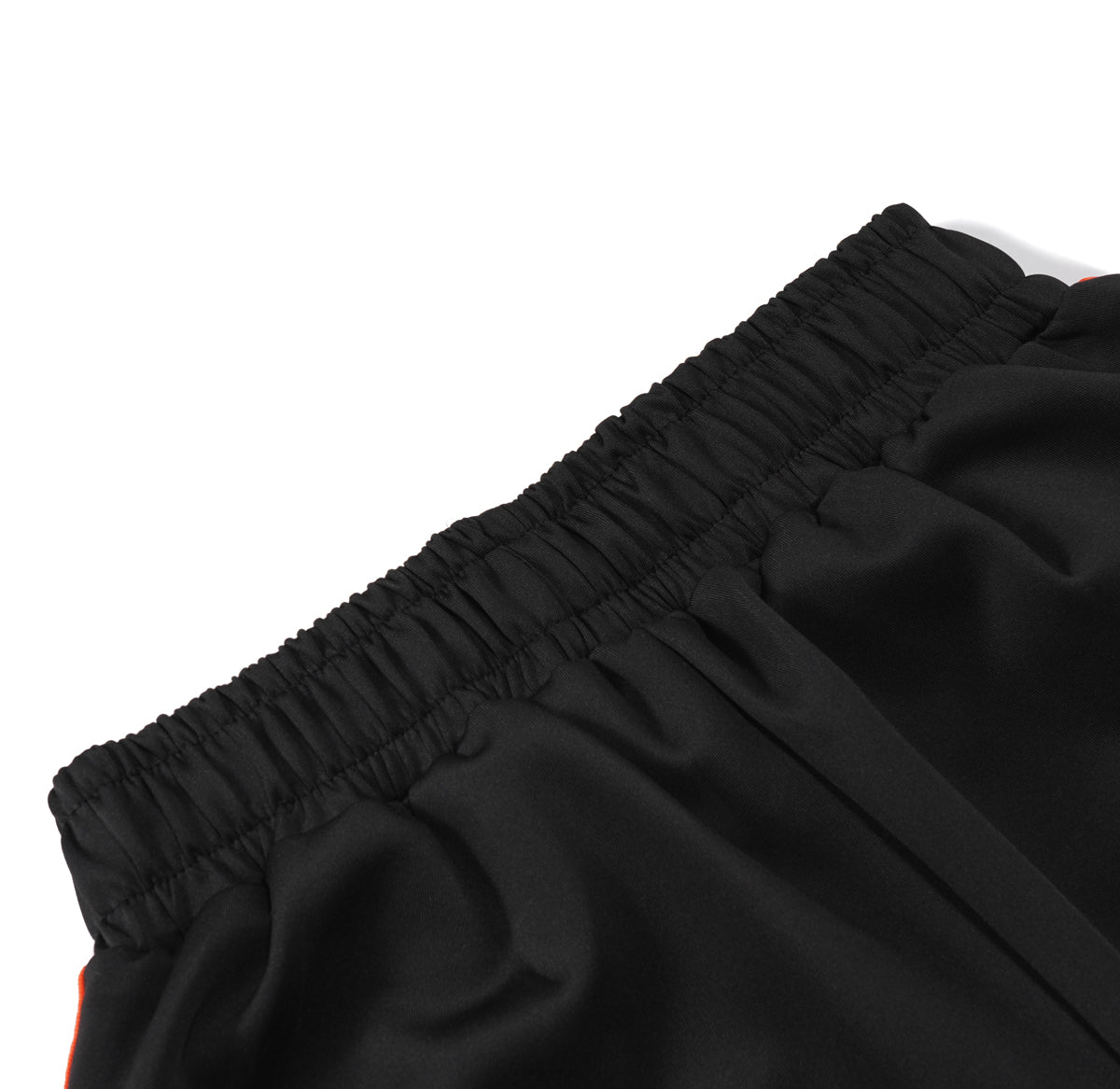 Palm Black Lime Hose