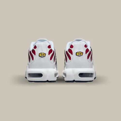 Nike Air Max Plus TN PSG