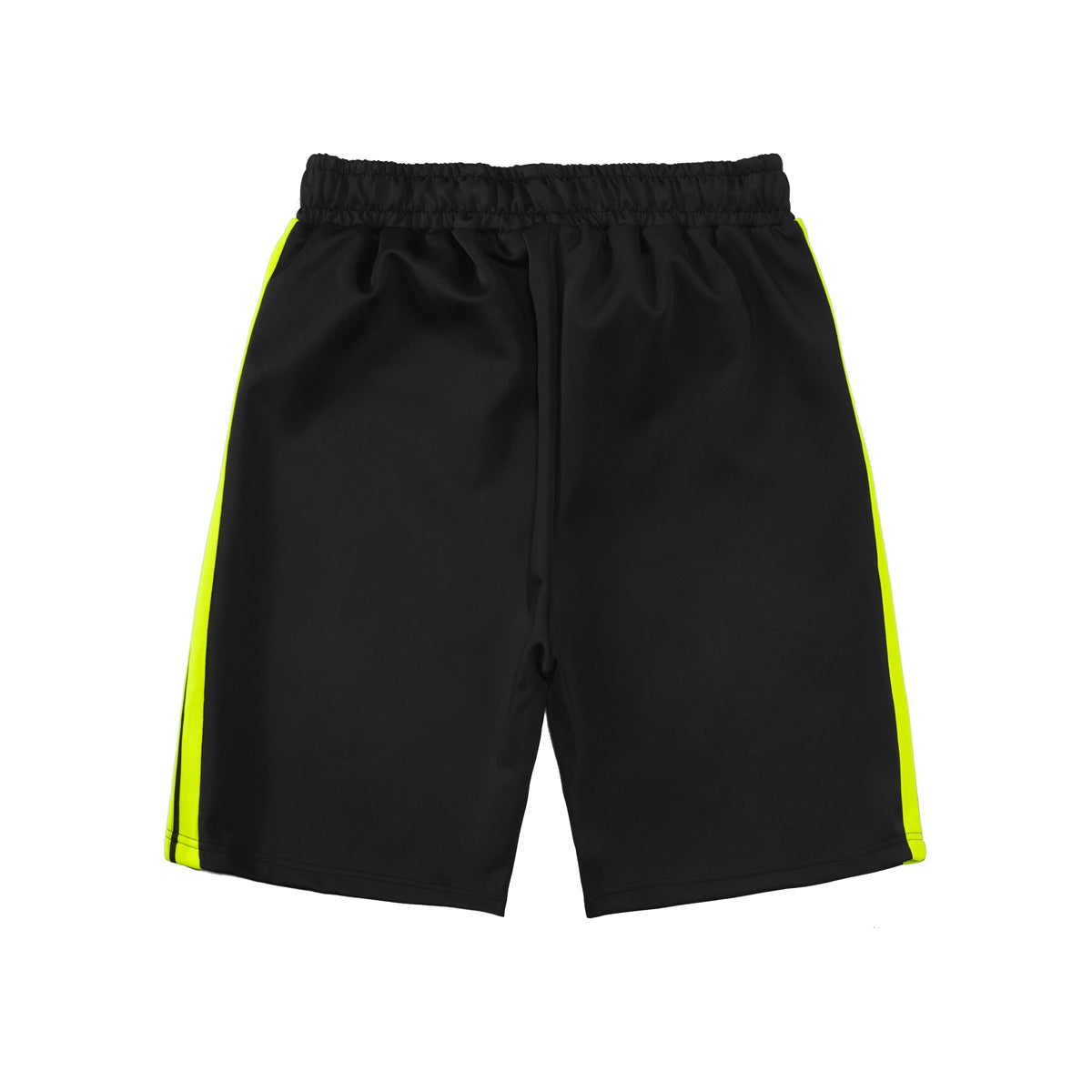 Palm Black Lime Hose