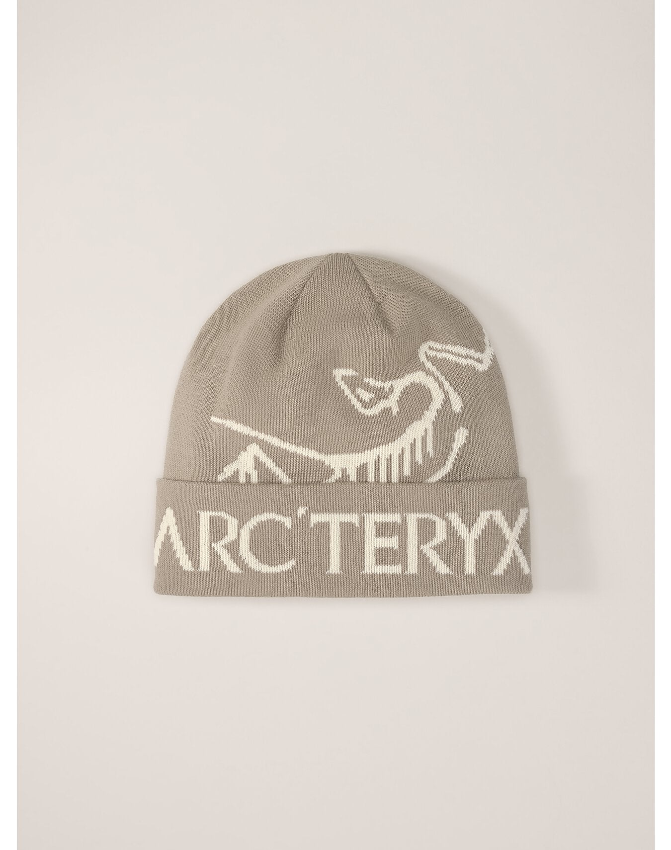 Arcteryx Graue Mütze