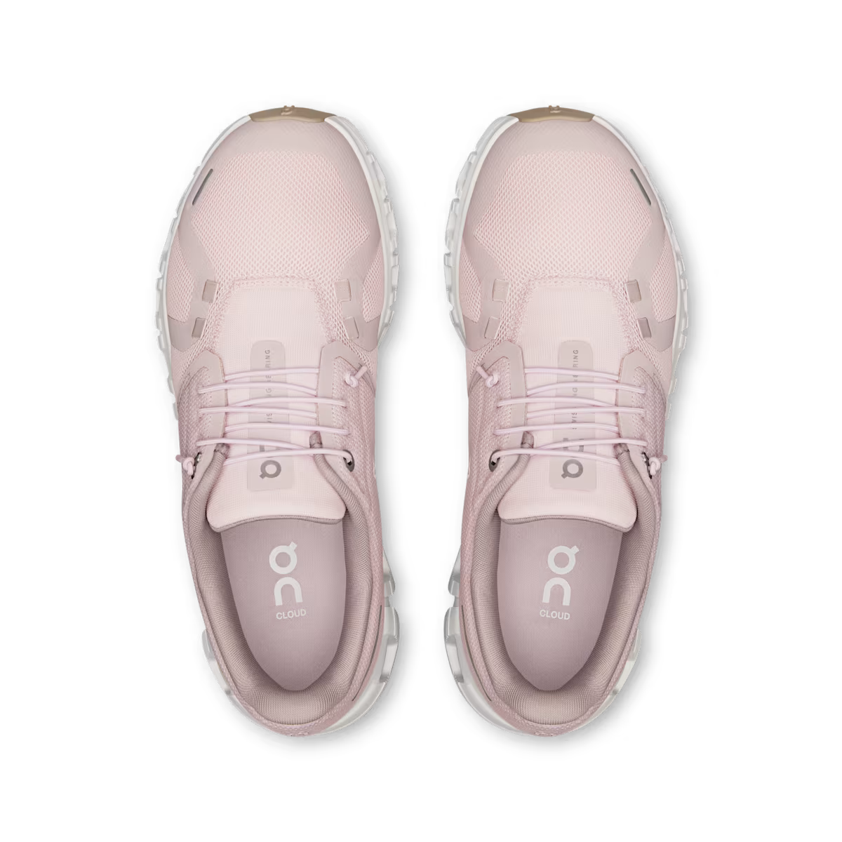 Cloud 6 - Orchid Fade