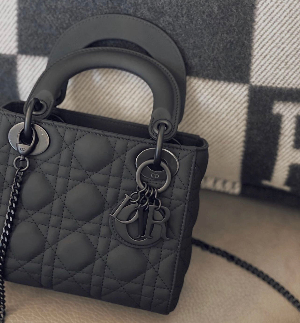 Dior Lady Ombre Absolue Tasche aus Sansibar