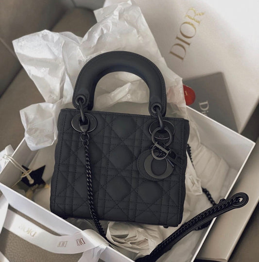 Dior Lady Ombre Absolue Tasche aus Sansibar