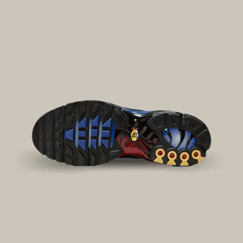 Nike Air Max Plus 25th Anniversary