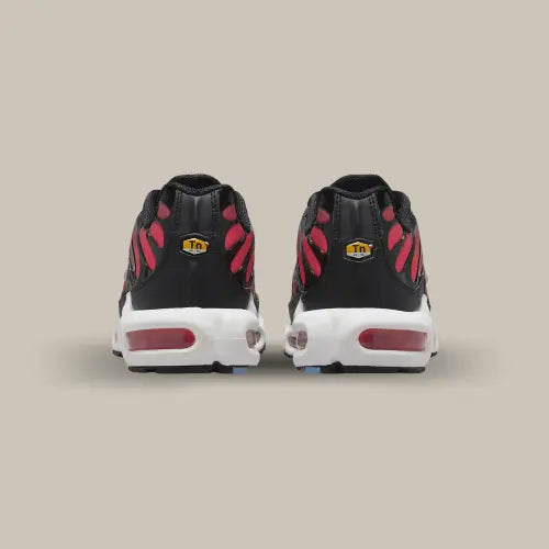 Nike Air Max Plus TN Universitätsblau Hellpurpur 