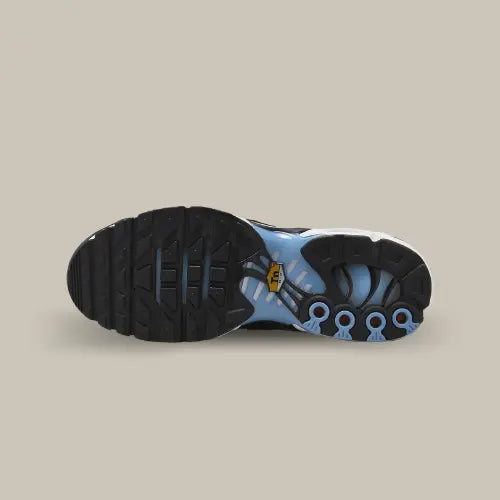 Nike Air Max Plus TN Universitätsblau Hellpurpur 