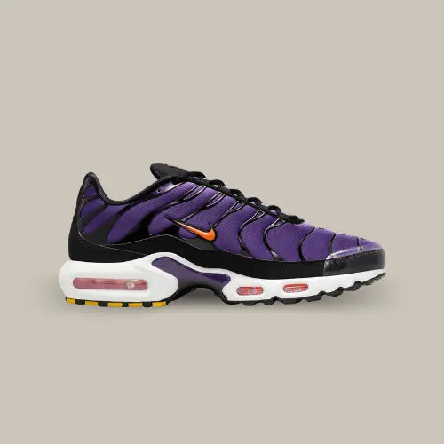 Nike Air Max Plus TN Spannung Lila