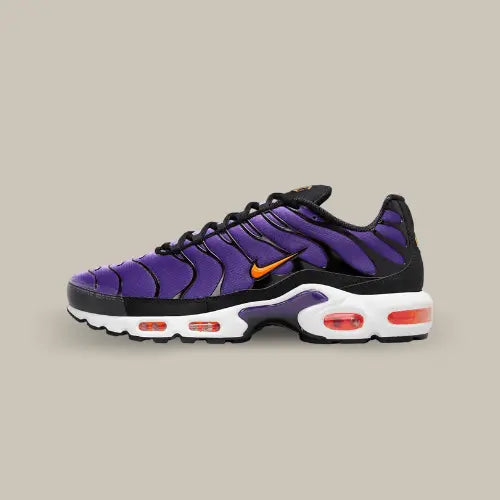 Nike Air Max Plus TN Spannung Lila