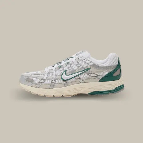 Nike P-6000 Light Bone 